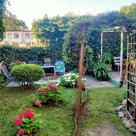 W Pucku U Ewy * プツク